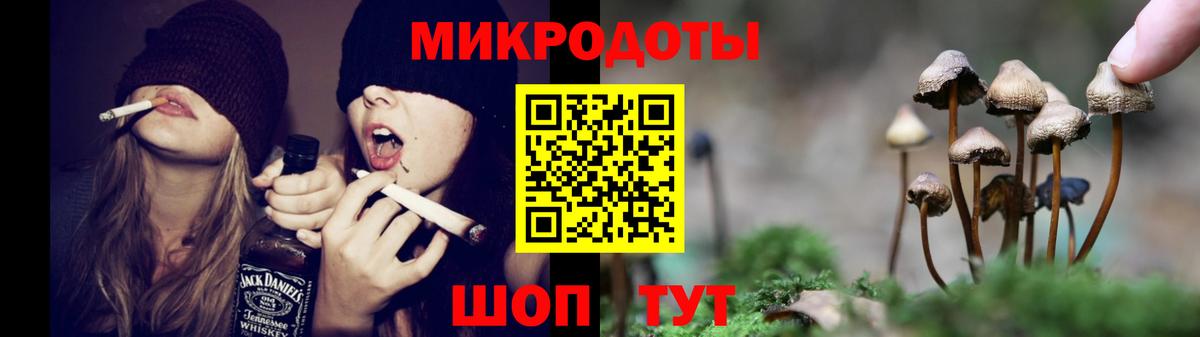 Хасавюрт  Галлюциногенные грибы Psilocybine cubensis  наркотики  Вход с VPN 